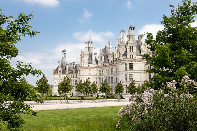 Loire Valley Wines and Castle Small Group Day Trip from Paris - Lunch with a Focus on French Cuisine and Regional Wines