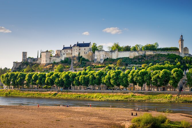 Loire Valley Wines Private Day Tour with Tastings from Tours or Amboise - The Optional Gourmet Lunch and Vineyard Views