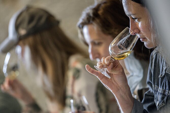 Loire Valley Wines Private Day Tour with Tastings from Tours or Amboise - Logistics: Pickup, Transport, and Group Size