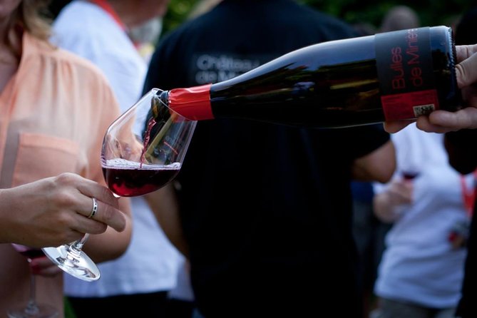 Loire Valley Wines Private Day Tour with Tastings from Tours or Amboise - Cost and Booking Considerations