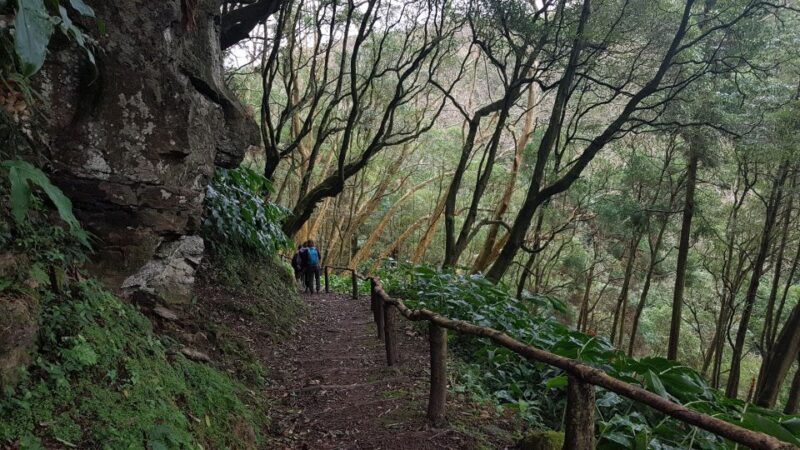Lomba de São Pedro: Waterfall Hiking Tour with Tea Tasting - The Guides and Their Role in the Experience