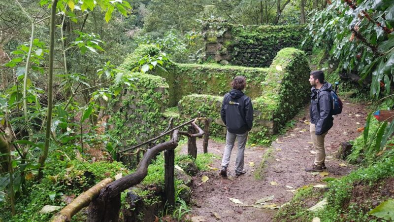 Lomba de São Pedro: Waterfall Hiking Tour with Tea Tasting - Why This Tour Stands Out in São Miguel