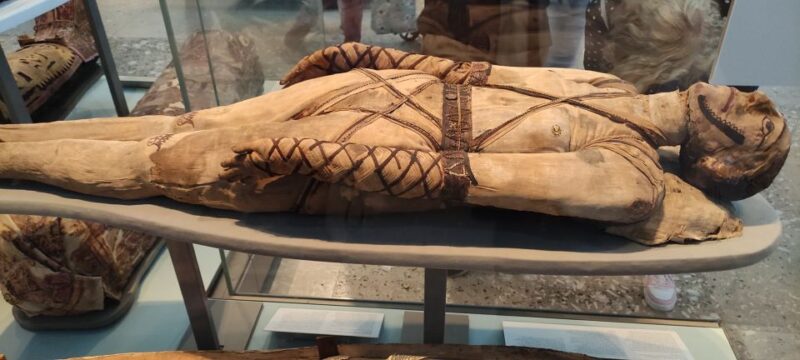 London: British Museum Private Tour for Kids & Families - Comparison with Similar Museum Tours