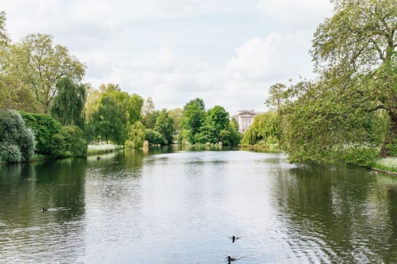 London: Changing of the Guard Tour by Buckingham Palace - Reviews and Customer Feedback