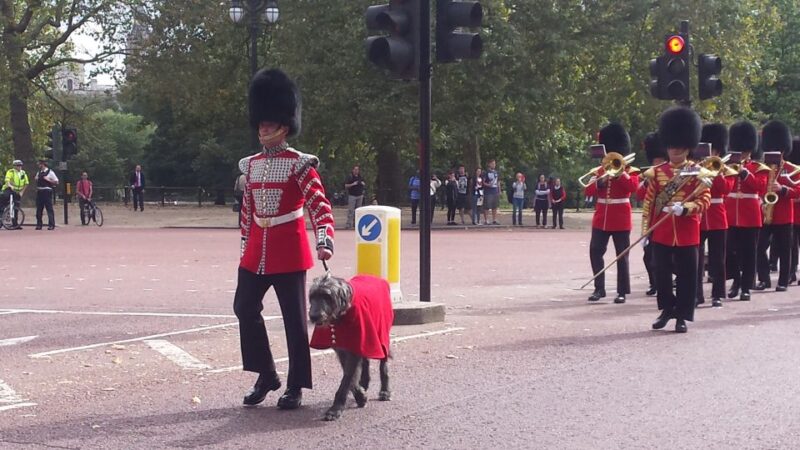 London: Changing of the Guard Walking Tour - Final Thoughts on the Changing of the Guard Walking Tour