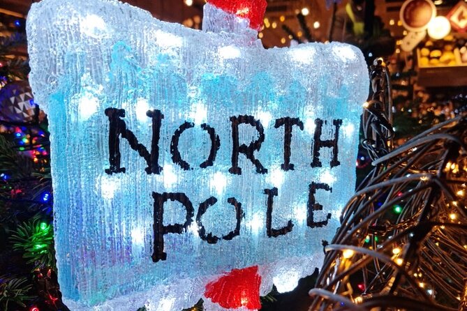 London Christmas Lights Bike Tour with Local Guide - The Experience of Riding Through London at Night