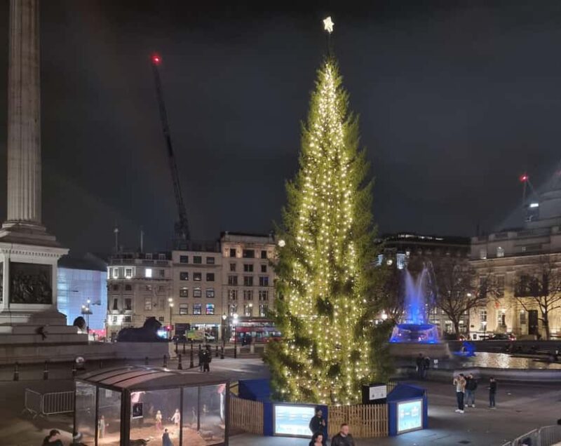 London: Christmas Lights Guided Walking Tour Small Group - Accessibility and Comfort Considerations