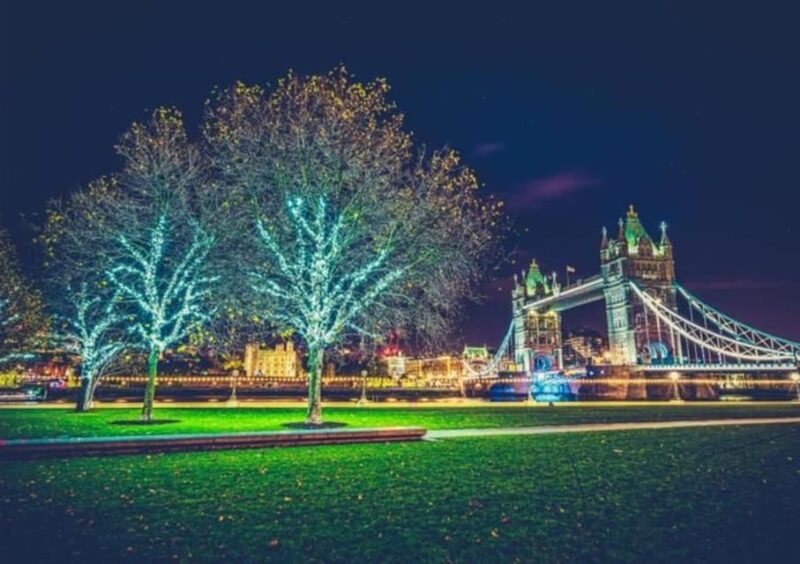 London: Christmas Lights Private Taxi Tour - Practical Details and Booking Flexibility