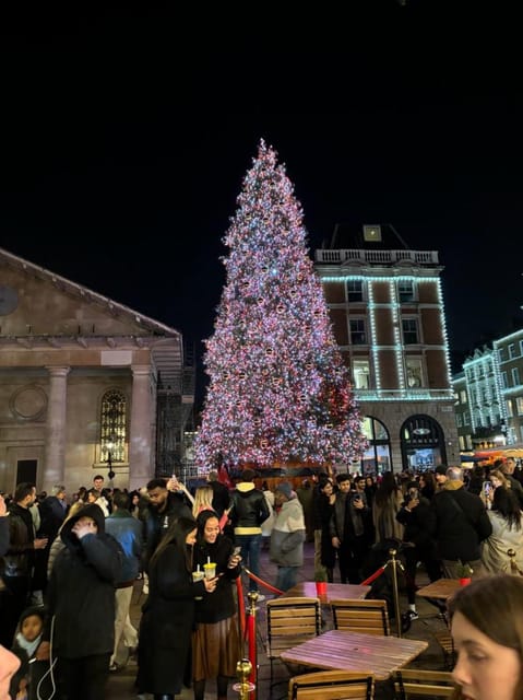 London: Christmas Lights Private Taxi Tour - Accessibility and Comfort in a Classic Black Taxi