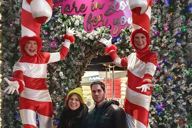 London Christmas Lights Private Tour by Traditional Black Cab - Suitable Audience for the Tour