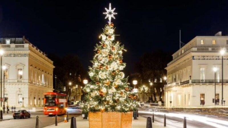 London: Christmas Lights Tour, Mince Pies, & Festive Drinks - Viewing Londons Landmarks from the Comfort of the Bus