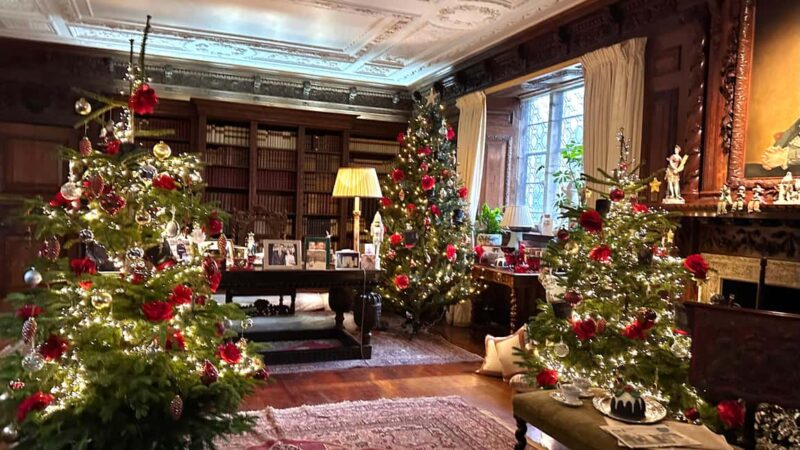 London: Christmas Lights Tour with Santa & Cookies Workshop - Key Points