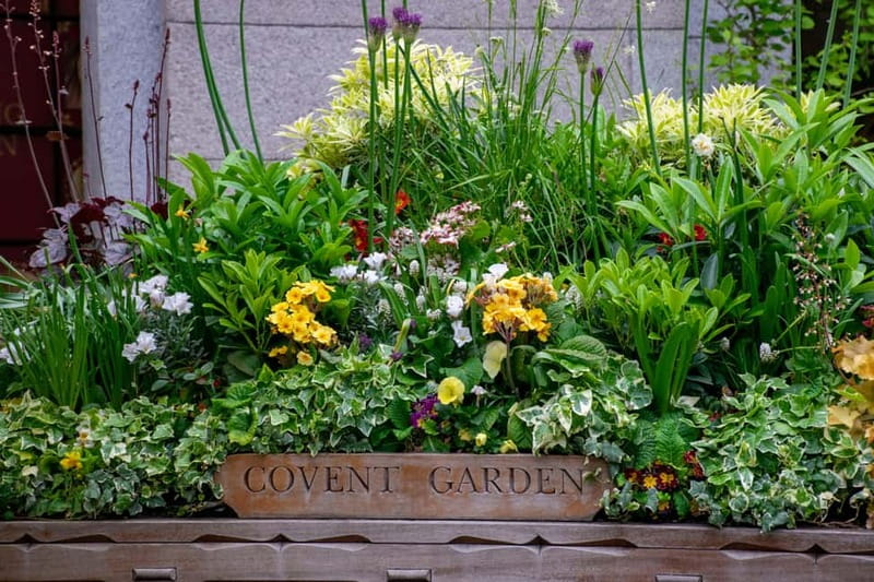 London: Customized Half-Day Private Tour with a Local - Key Points