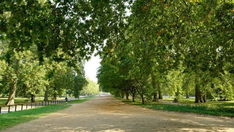 London: Discover Pass with Hop-On Hop-Off Bus, Cruise, Walks - Experience Londons Nighttime Sparkle on the Lights Tour