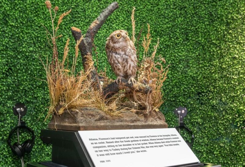 London: Florence Nightingale Museum Ticket - How the Guide Adds Depth to the Experience