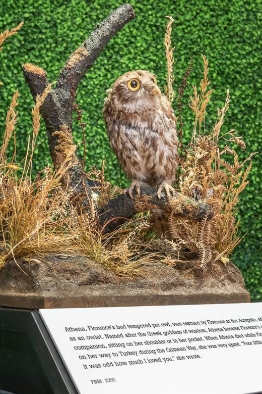 London: Florence Nightingale Museum Ticket - Comparing this Experience to Other London Attractions