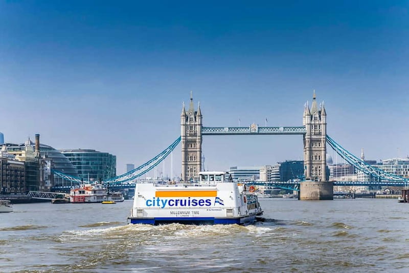London: Fully Flexible River Thames Sightseeing Pass - Value for Money and Overall Satisfaction