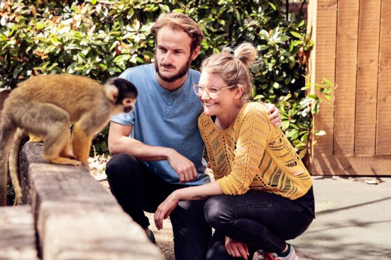 London: Go City Explorer Pass® - Tickets for 2-7 Attractions - Real-World Benefits and Limitations