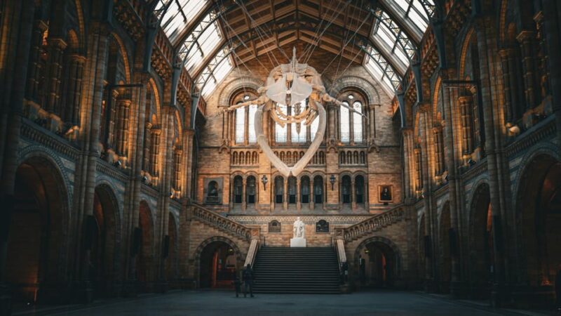 London: Guided Tour of the Natural History Museum - Key Points