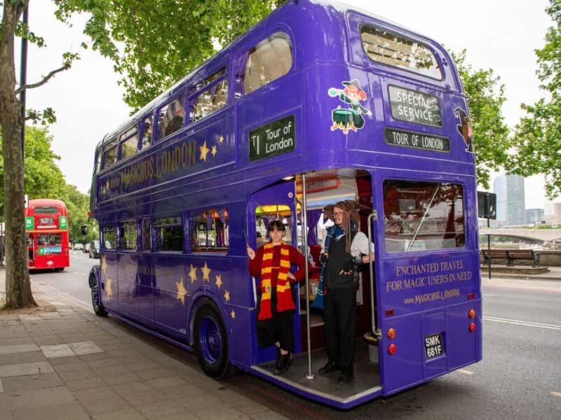 London: Harry Potter Lumos Christmas Lights Bus Tour - Key Points