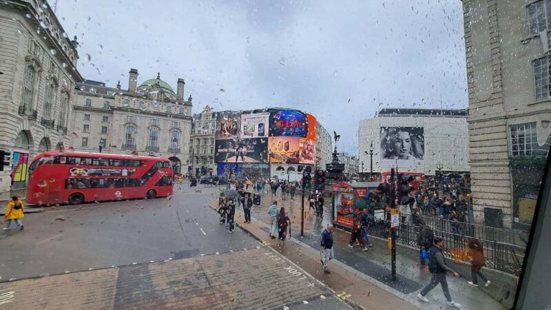 London Hop-on-Hop-off Bus Tour with Cruise & British Museum - Navigating the Classic Route: Landmarks in Central London
