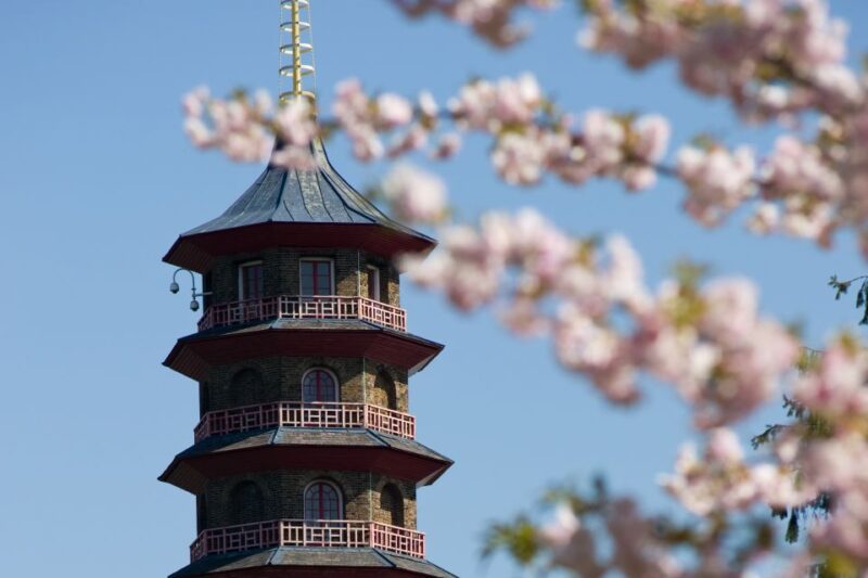 London: Kew Gardens Admission Ticket - Discover Londons Largest UNESCO World Heritage Site