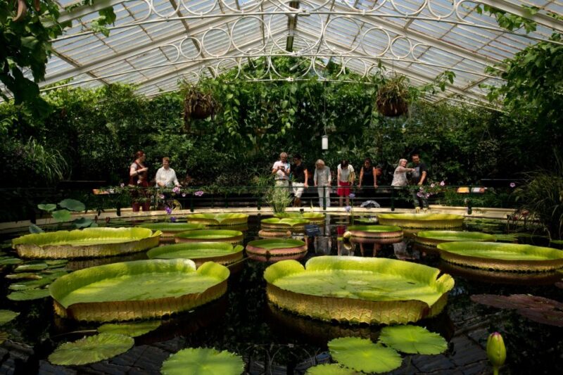 London: Kew Gardens Admission Ticket - Logistical Details and Visit Planning