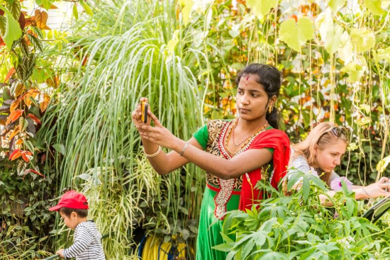 London: Kew Gardens Admission Ticket - Final Thoughts on Visiting Kew Gardens