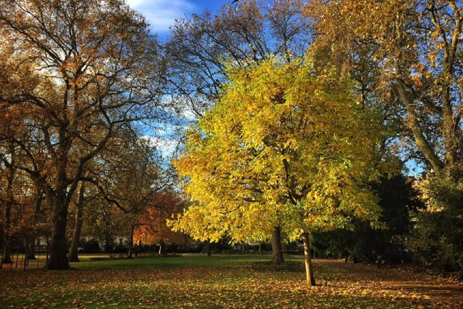 London Literary Private Walking Tour Of Bloomsbury - Walking Through Bloomsbury’s Gardens, Squares, and Streets