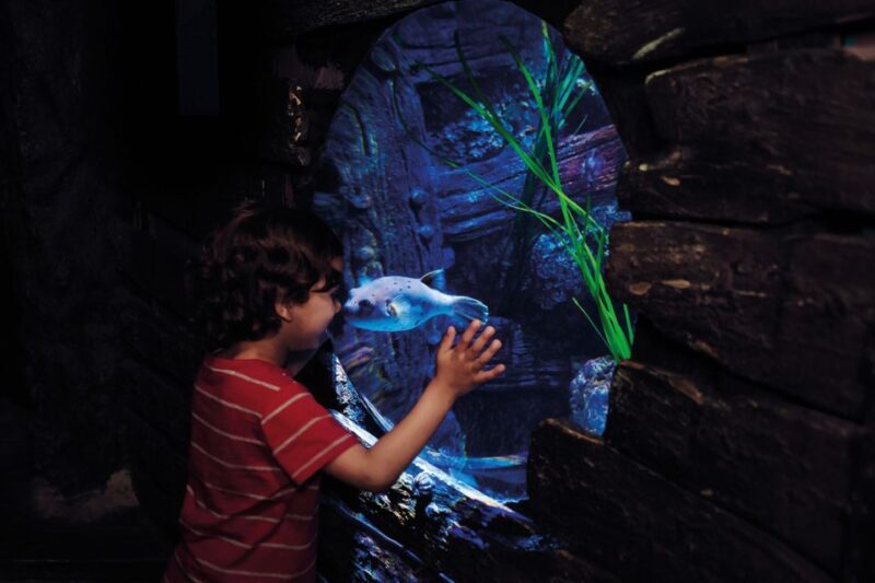 London: Madame Tussauds, London Eye & SEA LIFE Combo Ticket - Experience London’s Iconic Sights with a Single Ticket