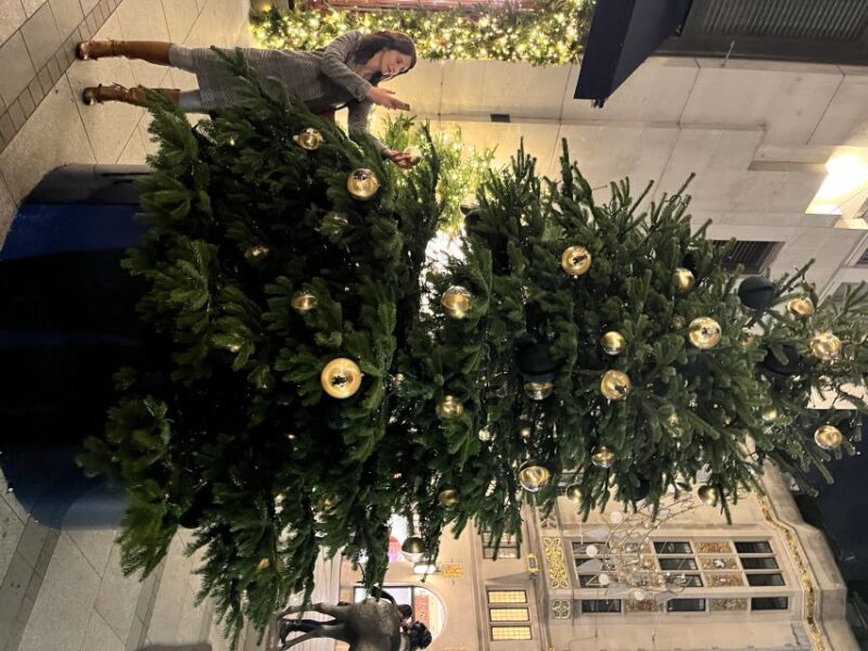 London: Magical Christmas Walking Tour - Shopping and Festive Windows on Oxford Street and Mayfair