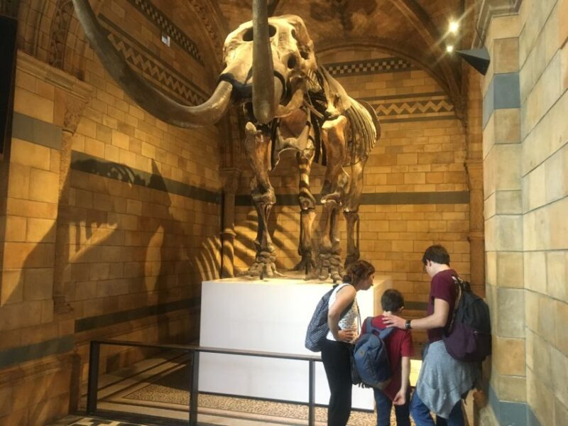 London: Natural History Museum Entry Ticket and Guided Tour - Discover the Natural History Museum in London with Guided Expertise