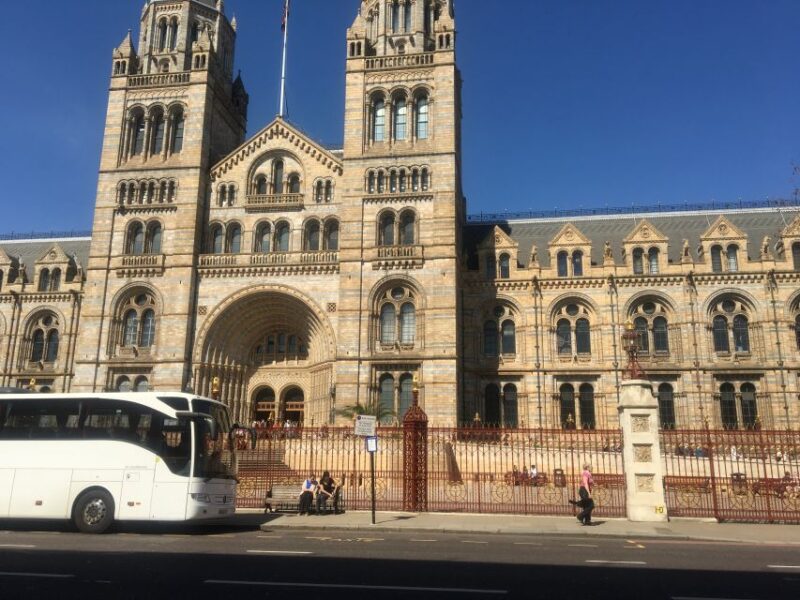 London: Natural History Museum Entry Ticket and Guided Tour - Key Points
