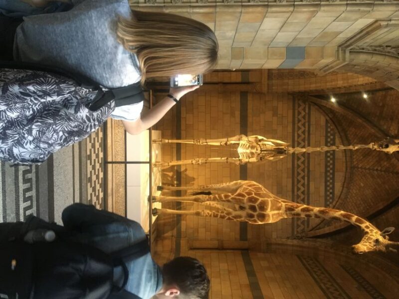 London: Natural History Museum Entry Ticket and Guided Tour - Highlights in Hintze Hall and the Dinosaur Exhibits