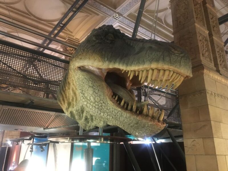 London: Natural History Museum Entry Ticket and Guided Tour - The Wildlife Garden and Its Natural Habitat