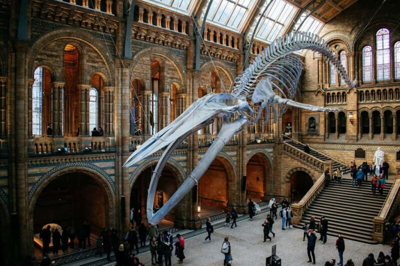 London: Natural History Museum Express Tour & Audio App - Inside the Natural History Museum: An Introduction