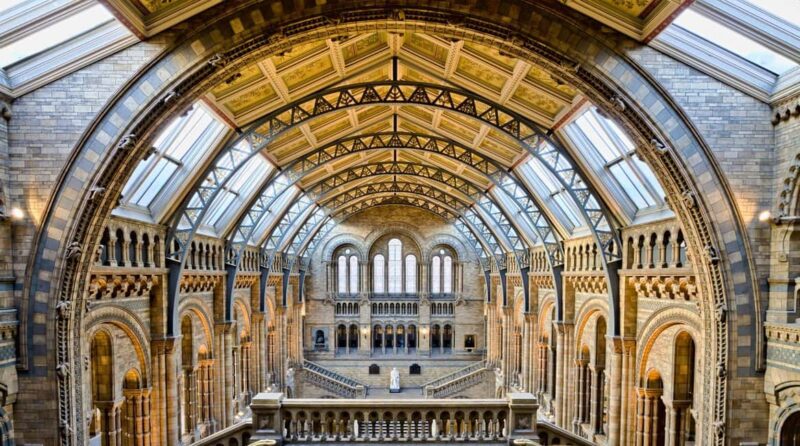 London: Natural History Museum Express Tour & Audio App - Visiting the Dinosaur Gallery and T. Rex Encounter