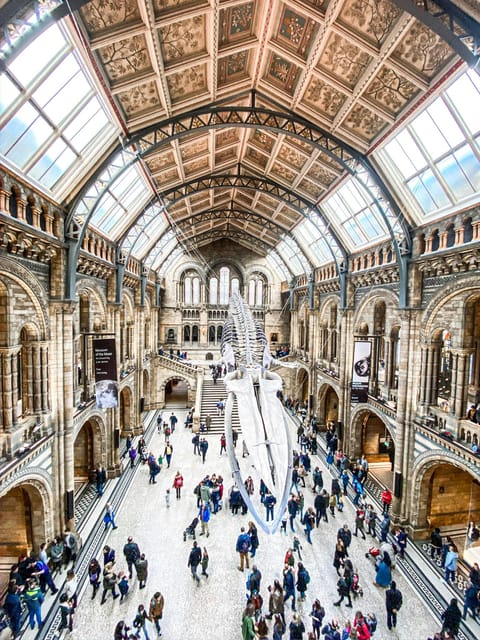 London: Natural History Museum Guided Tour - Starting Point and Meeting Details