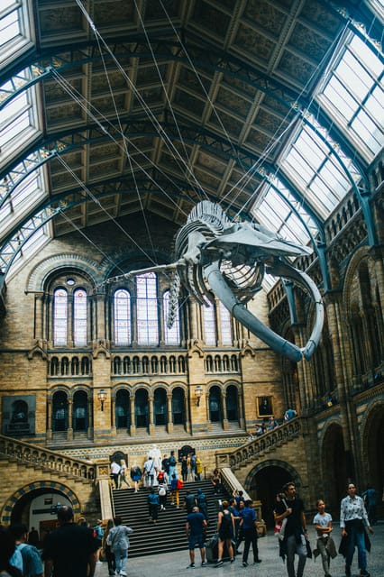 London: Natural History Museum Guided Tour - What’s Included in This Guided Tour
