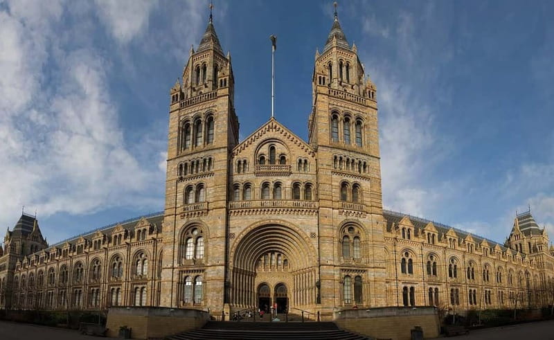 London: Natural History Museum + Guided Tour+ Priority Entry - Discover the Natural History Museum with a Guided Tour in London