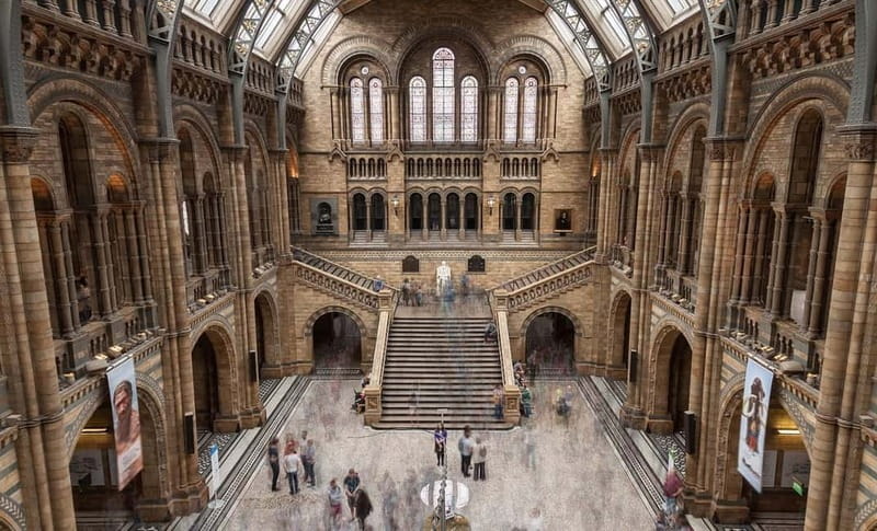 London: Natural History Museum + Guided Tour+ Priority Entry - Discover the Dinosaur and Early Human Exhibits