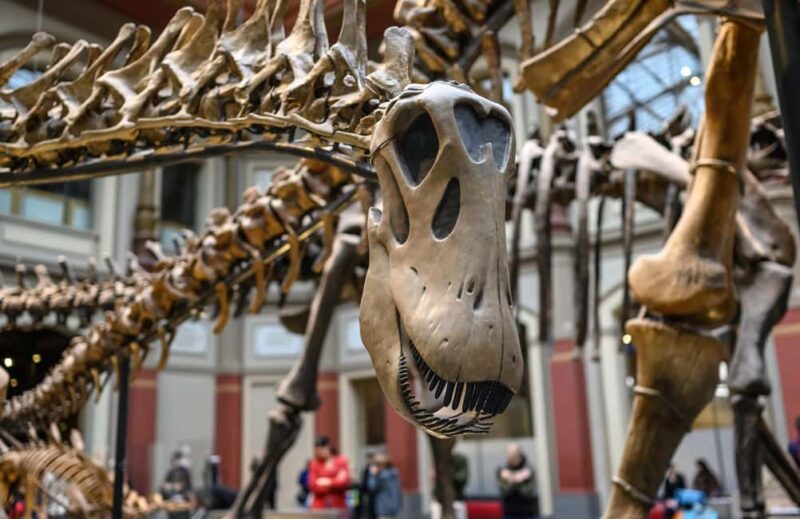 London: Natural History Museum Guided Tour - Discover the Natural Wonders of London’s Natural History Museum in Just 2 Hours