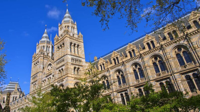 London: Natural History Museum Guided Tour - Inside the Museum: Explore the Iconic Hintze Hall and Its Blue Whale Skeleton