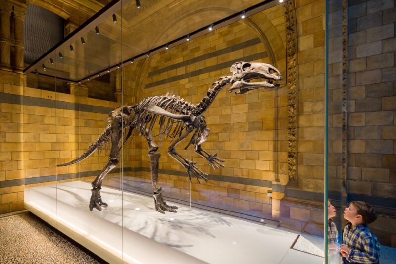 London: Natural History Museum Private Guided Family Tour - Making the Experience Kid-Friendly and Interactive