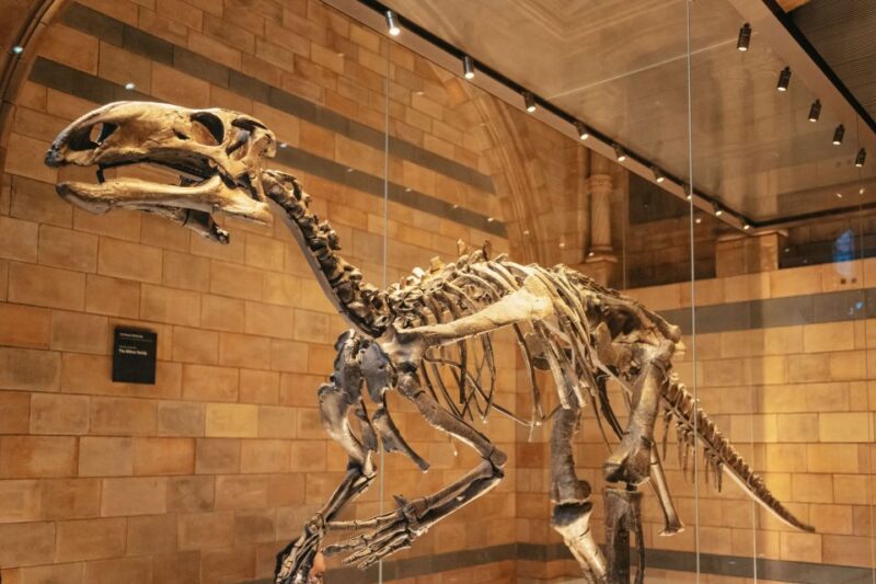 London: Natural History Museum Private Guided Family Tour - Who Will Enjoy This Tour the Most