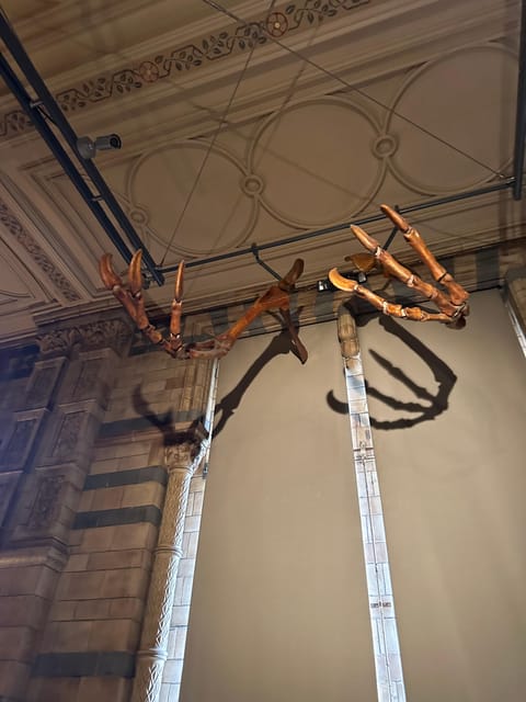 London: Natural History Museum Private Guided Tour - Explore Londons Natural History Museum with a Private Guide for Just $134.70
