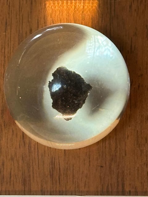 London: Natural History Museum Private Guided Tour - Key Points