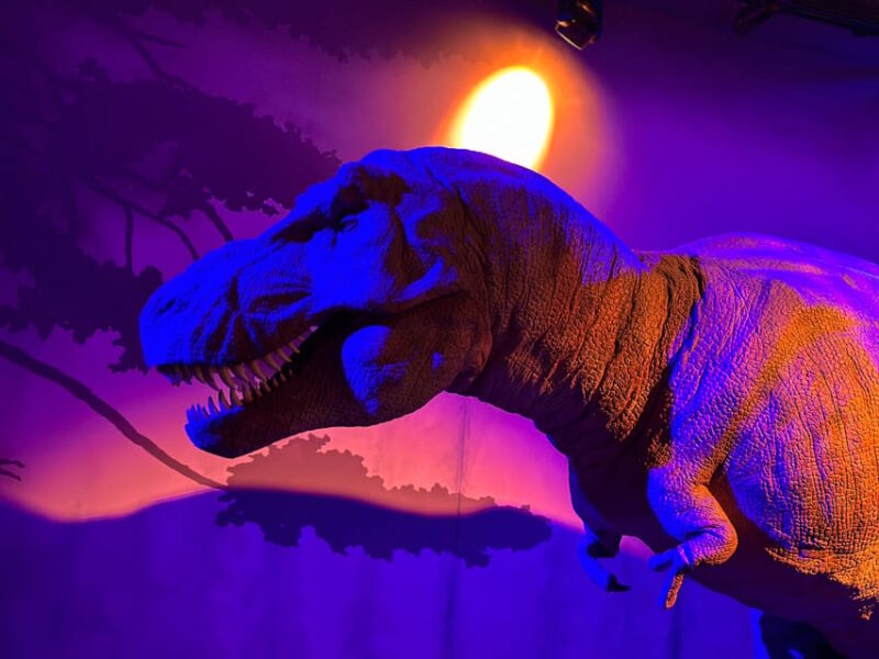 London: Natural History Museum Private Guided Tour - What the Tour Includes and Excludes