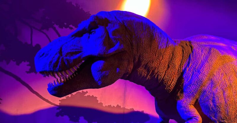 London: Natural History Museum Private Guided Tour - Comparing This Tour to Other Natural History Experiences in London