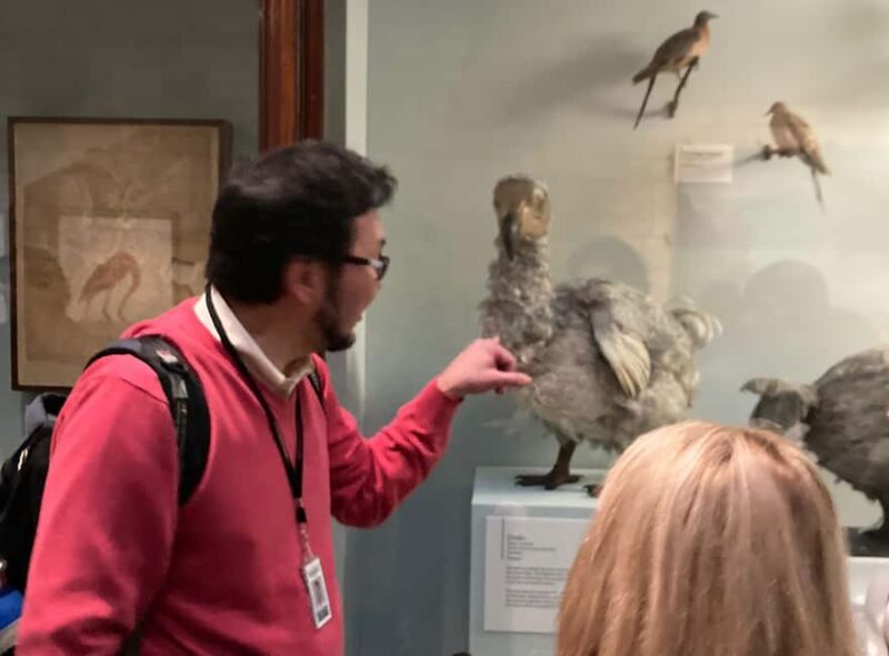 London Natural History Museum - Private Tour with Expert - Explore Londons Natural History Museum with an Expert Guide